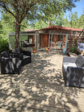 Chalet en bois dans la forêt